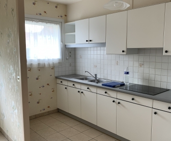 Location Maison 2 pièces Frévent (62270) - rue flandre dunkerque