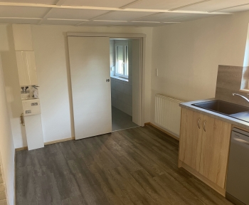 Location Appartement rénové 3 pièces Kutzenhausen (67250) - TTES CHARGES