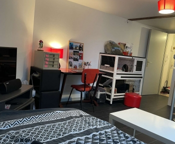 Location Studio 1 pièce Sélestat (67600) - CV